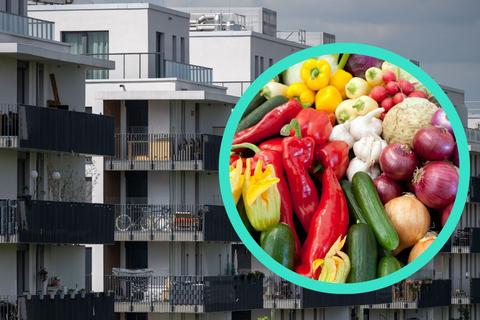 Gemüse auf dem Balkon So klappt der Anbau auf kleinem Raum